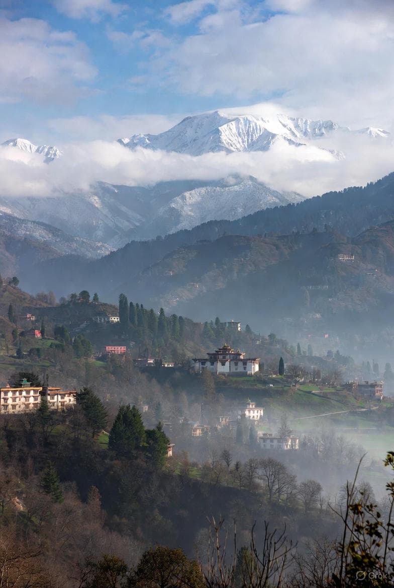 Reliable by Nature: A Local’s Recommendation