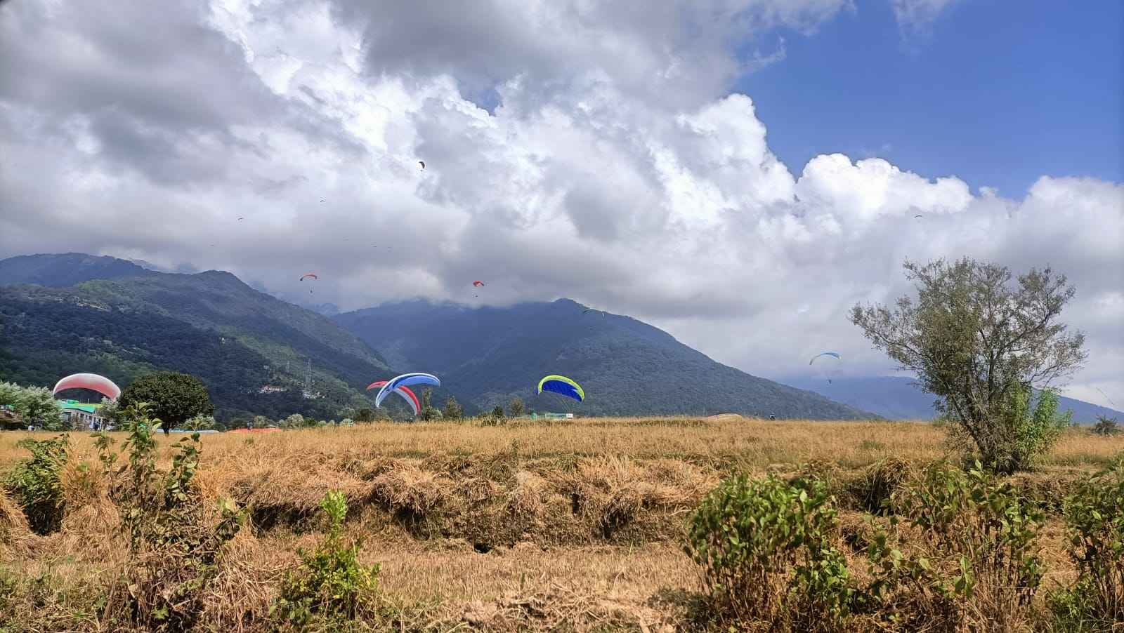 Dharamshala Scenic View